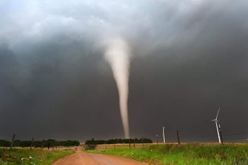 A tornado can ravage a company.