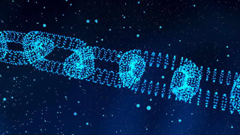 Blockchain builds its infrastructure securely, but not in a manner that is invulnerable.